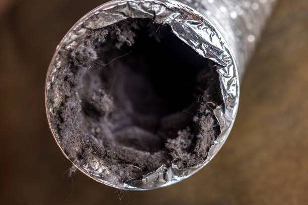 Best Air Duct Cleaning Near Me  in Hustisford, WI